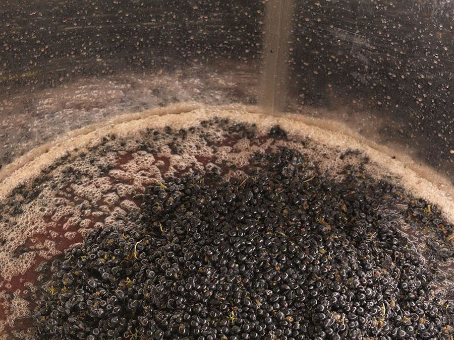 must 'pulp' of black grapes and fermentation occurs together with the grape skins at Strofilia winery